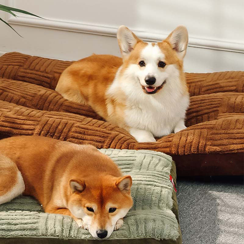 Extra Large Thick Orthopedic Dog Cushion Bed