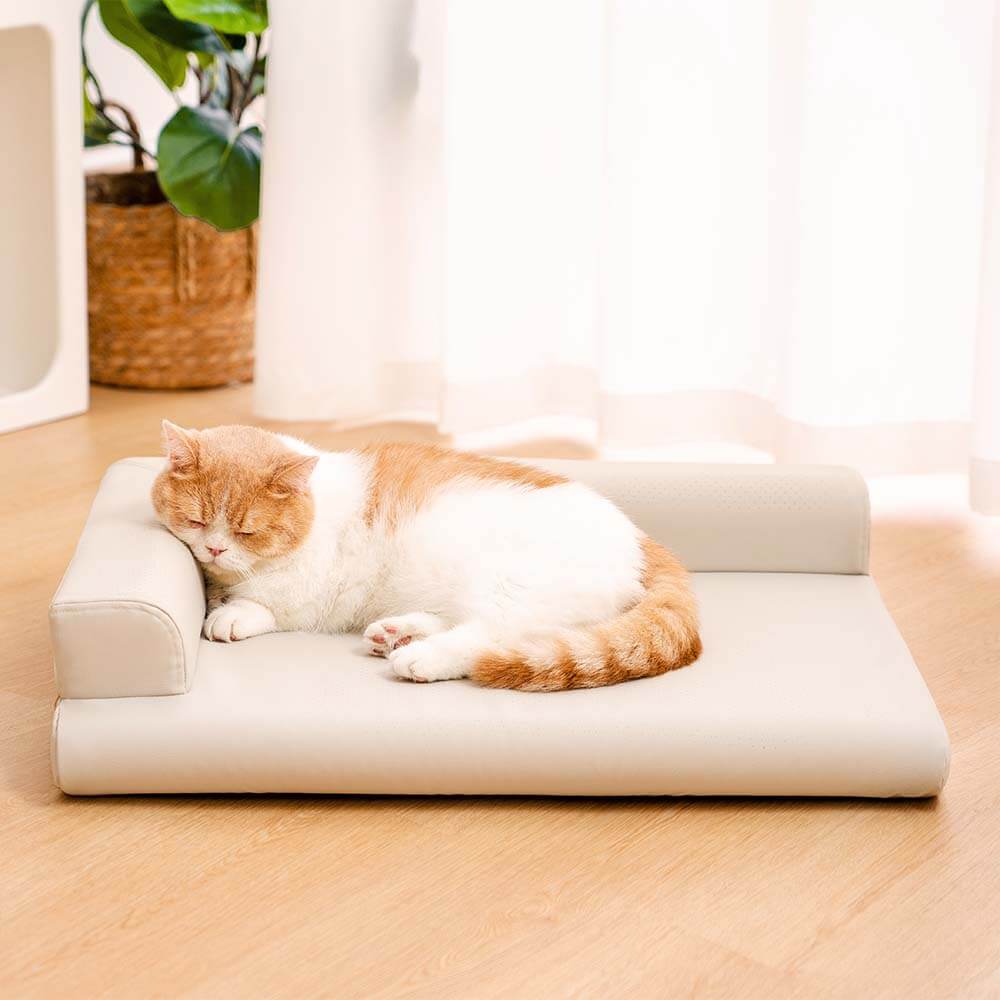 Leather Neck Guard Dog & Cat Sofa Bed Modern Style Dog Bed