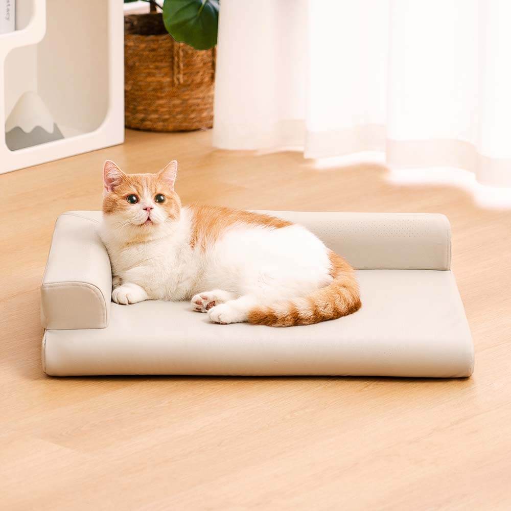 Leather Neck Guard Dog & Cat Sofa Bed Modern Style Dog Bed