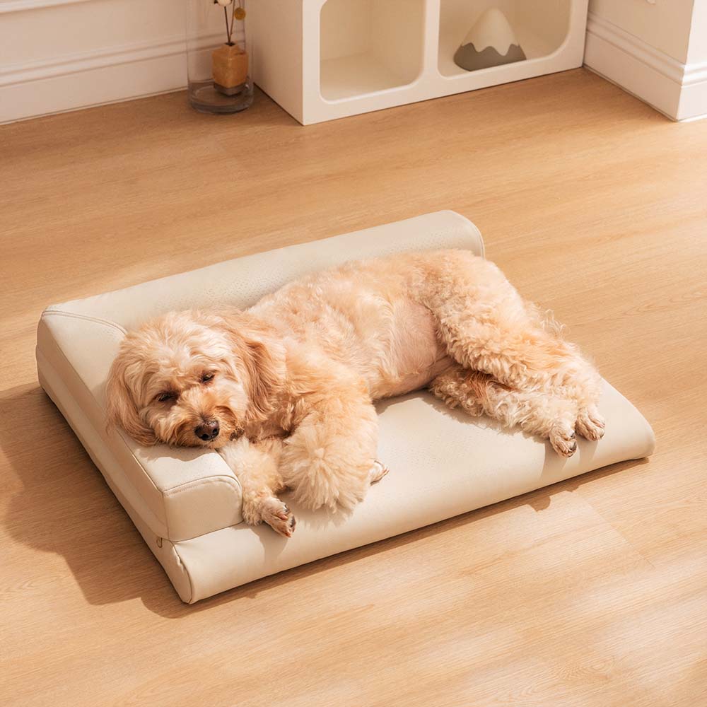 Leather Neck Guard Dog & Cat Sofa Bed Modern Style Dog Bed