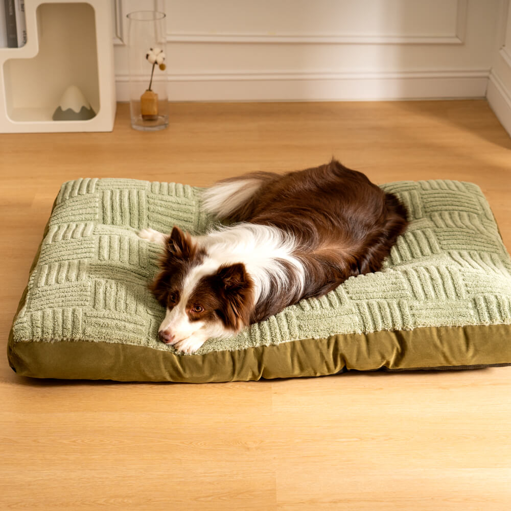 Extra Large Thick Orthopedic Dog Cushion Bed