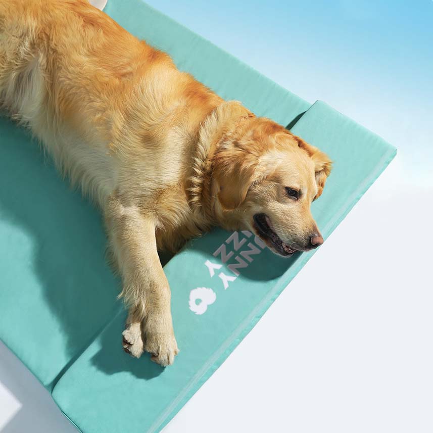 Pet Sleeping Pad All Season