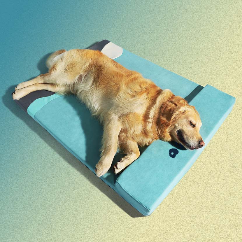 Pet Sleeping Pad All Season