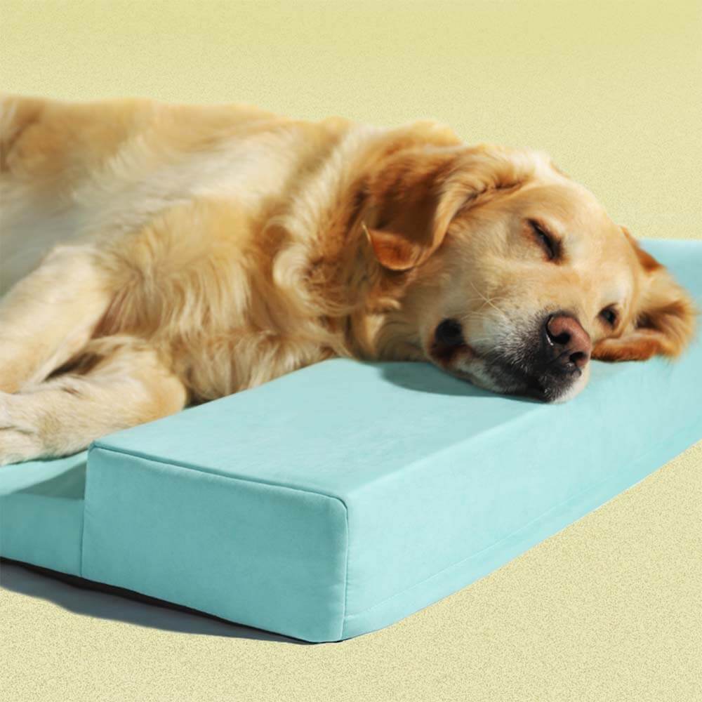 Pet Sleeping Pad All Season