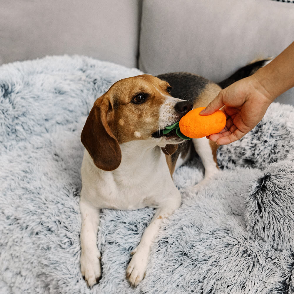 Calming Furniture Protector Dog Bed - Fuzzy Backrest