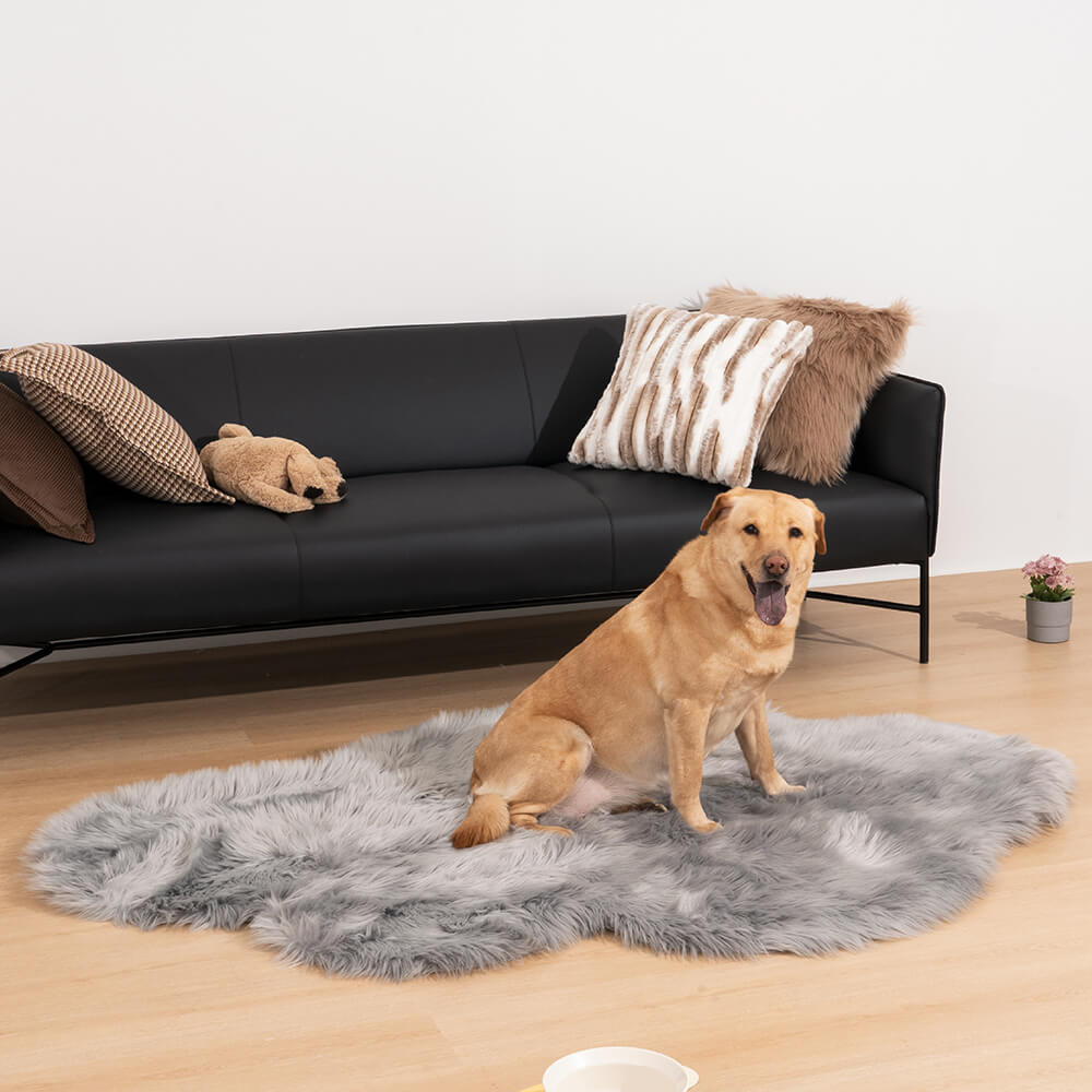 Plush Rugs Fashion Pet Rugs Bedroom Rugs