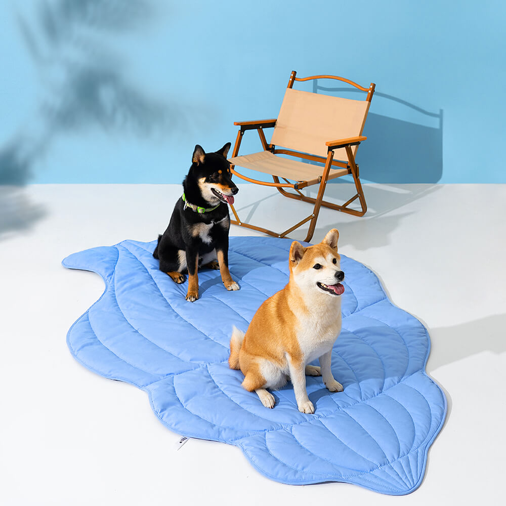 Super Large Seashell Shape Human Mat Dog Blanket