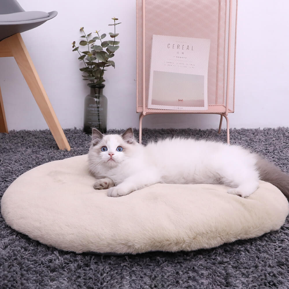 Pet Mats Cat Dog Kennel Carpet