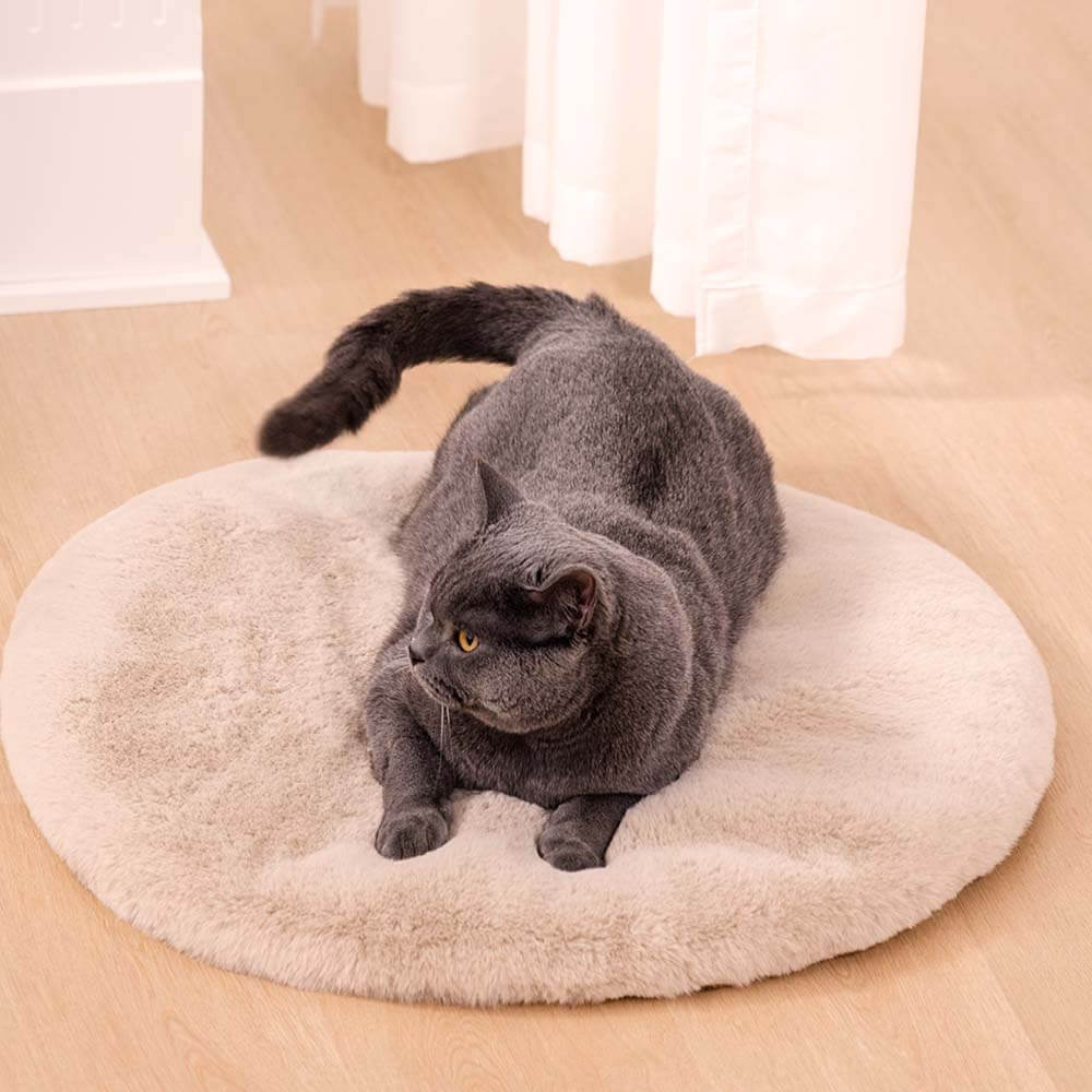 Pet Mats Cat Dog Kennel Carpet