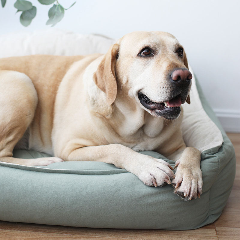 Sleeping Dog Bed for Large Dogs