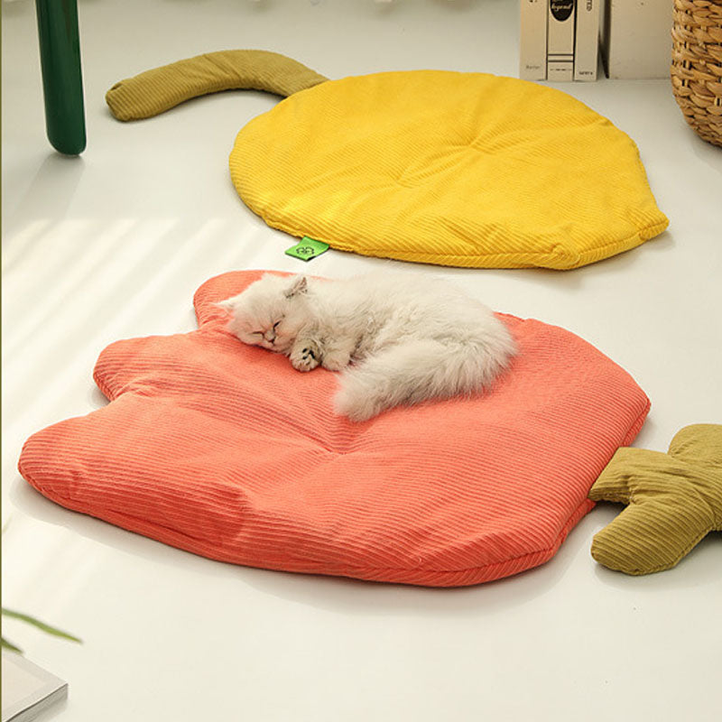 Pet Mat All Season Washable