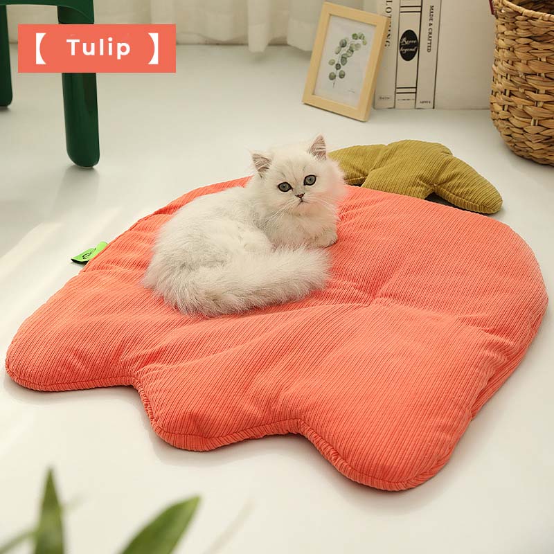 Pet Mat All Season Washable