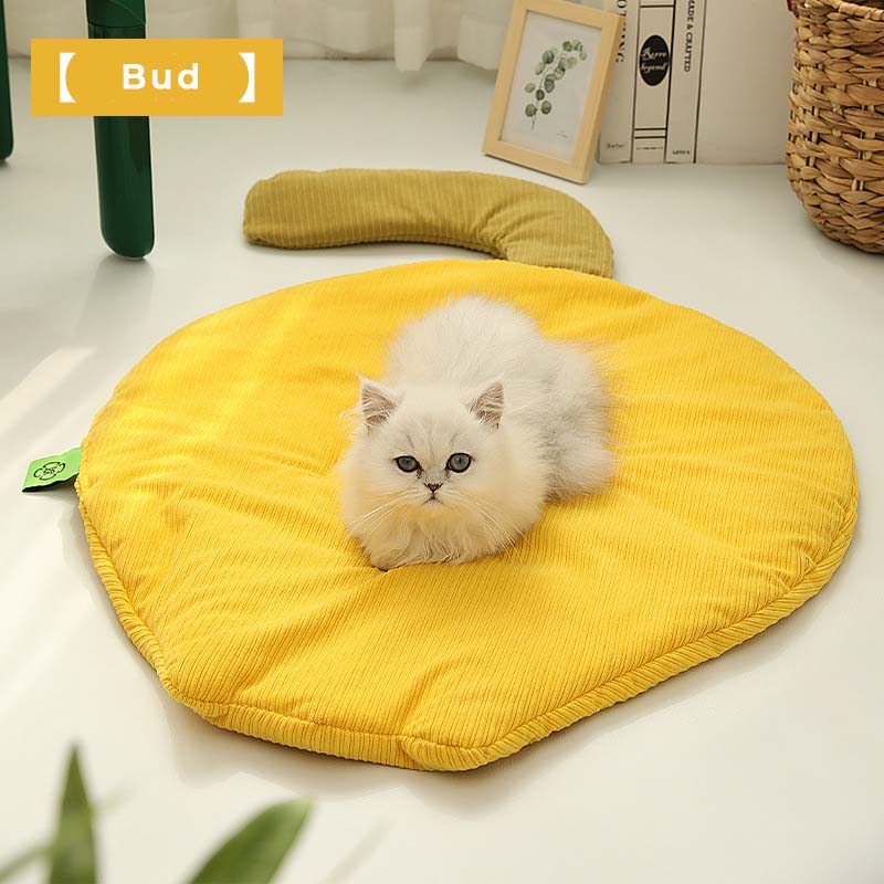 Pet Mat All Season Washable