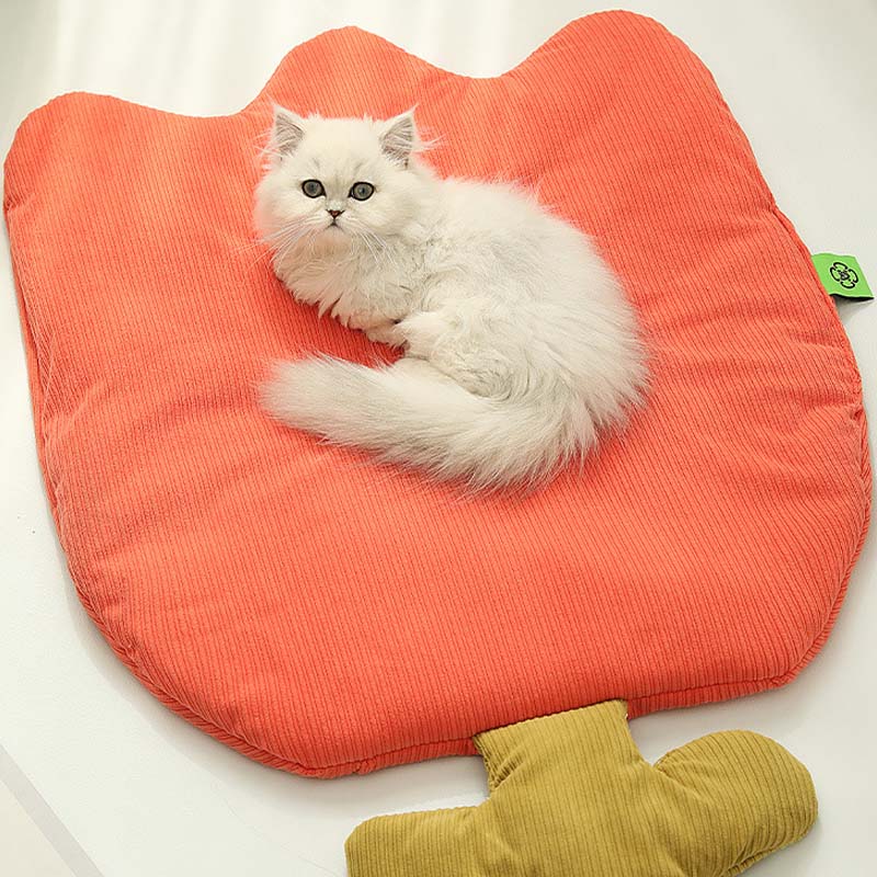 Pet Mat All Season Washable