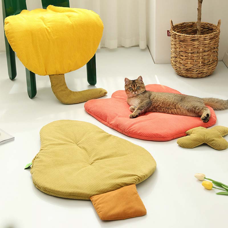 Pet Mat All Season Washable