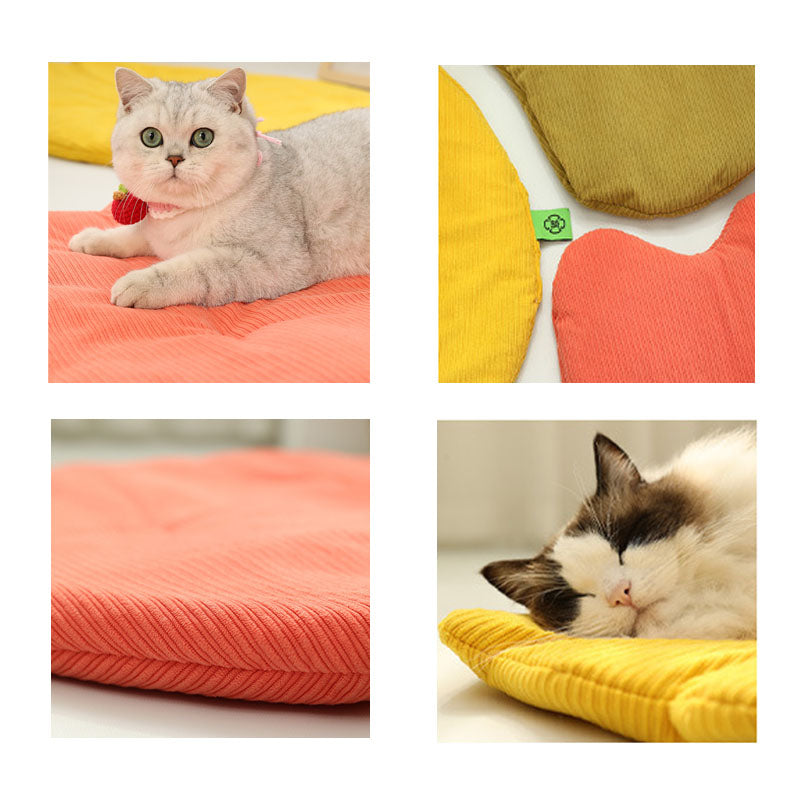 Pet Mat All Season Washable