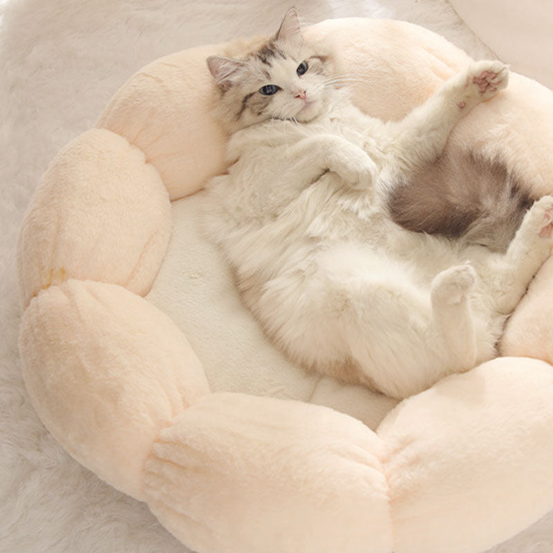 Flower Shape Enclosed Cat Bed