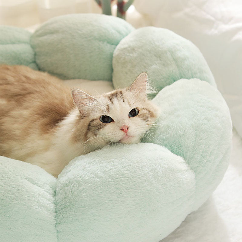 Flower Shape Enclosed Cat Bed