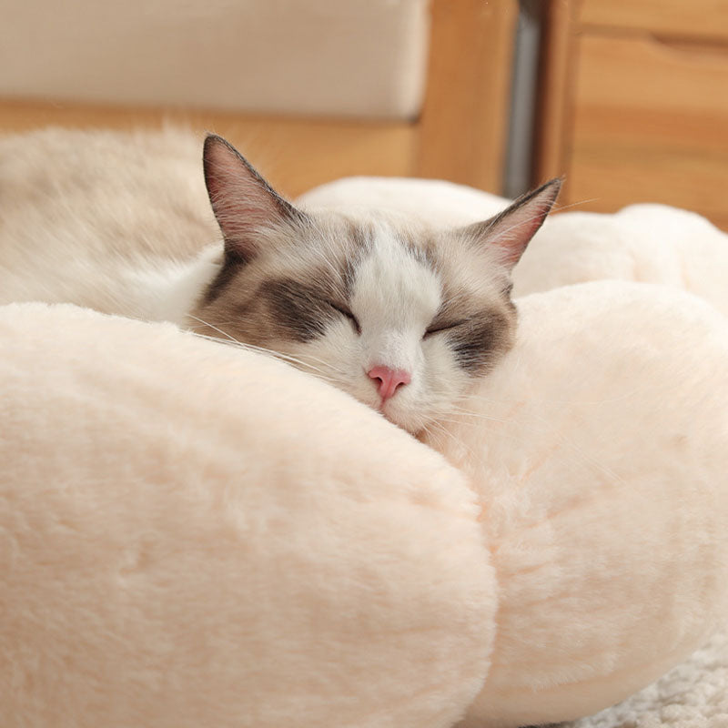 Flower Shape Enclosed Cat Bed