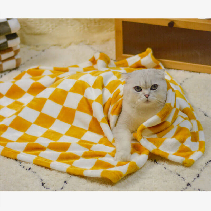 Cat blanket facecloth double-sided thickened four-season warm models