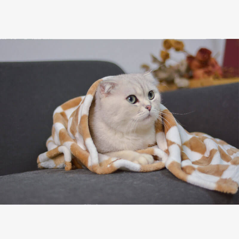 Cat blanket facecloth double-sided thickened four-season warm models