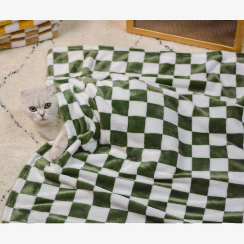 Cat blanket facecloth double-sided thickened four-season warm models