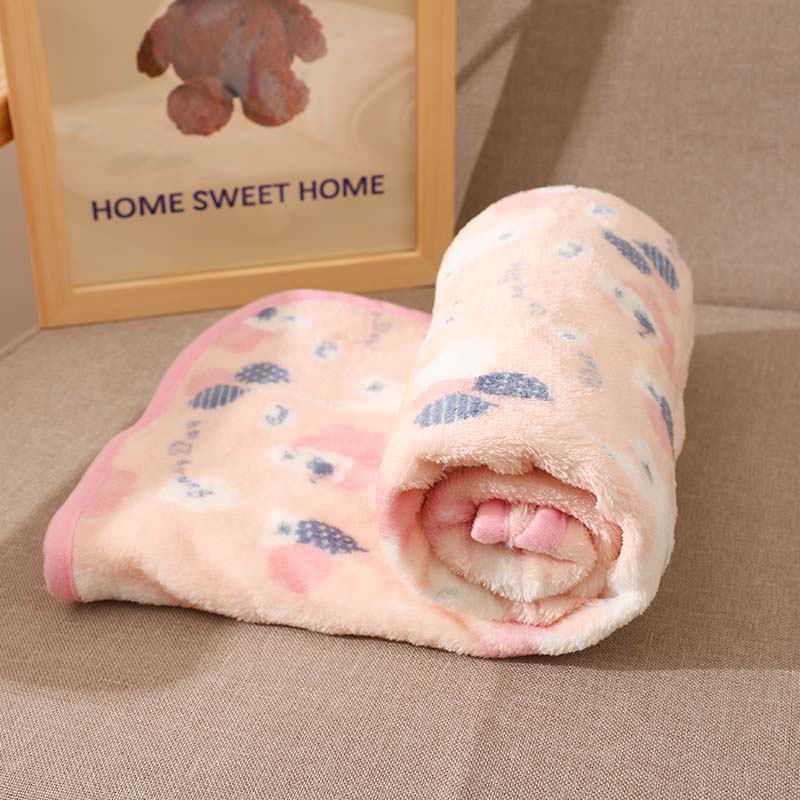 Coral Velvet Blanket for Pets Sleeping Small Covering Blanket